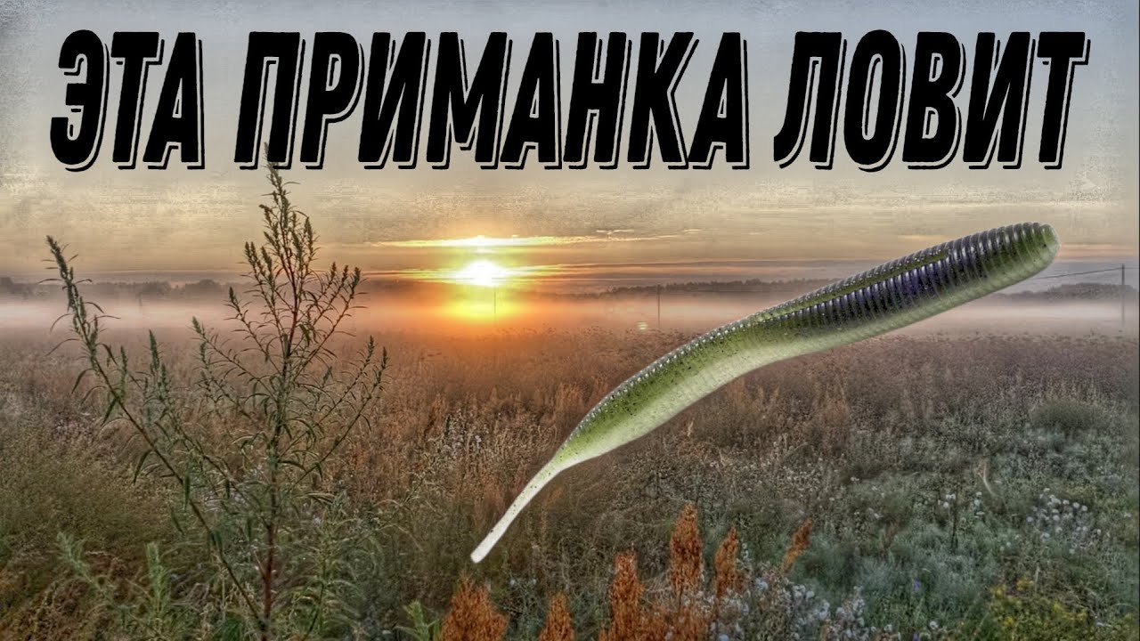 Эта приманка ловит Sexy impact. Пассивная приманка на окуня. Рыбалка на спиннинг в Тверской области.