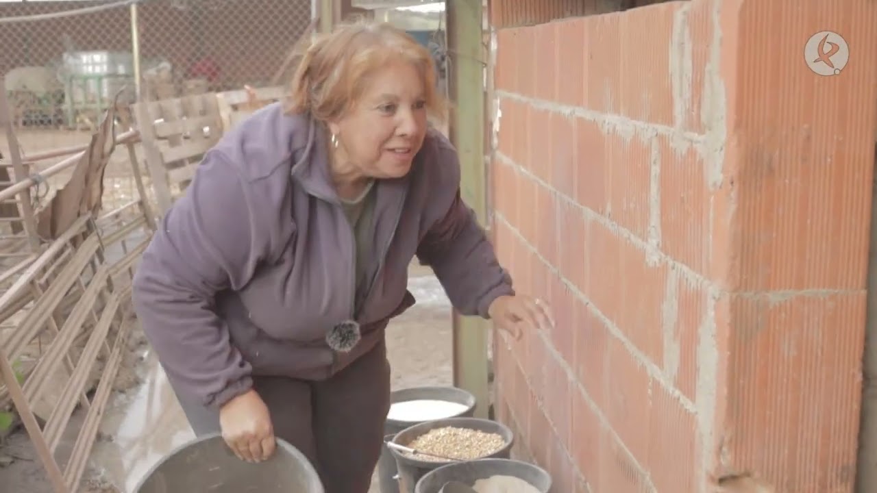 ''Los guarros son unos dañinos, rompen todo'' | El campo es vida