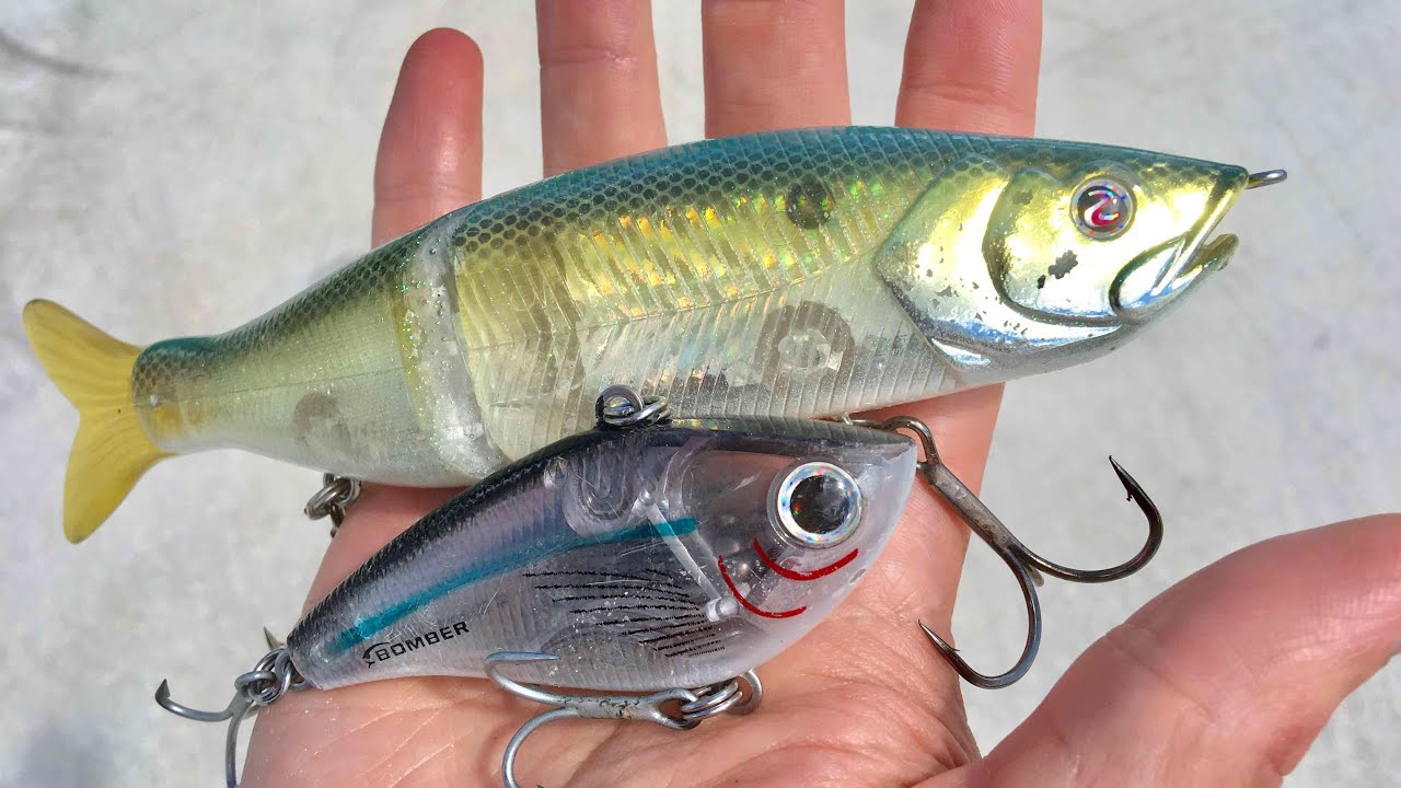 Bass Fishing the S-Waver and the Best Trap You Might Not Know About
