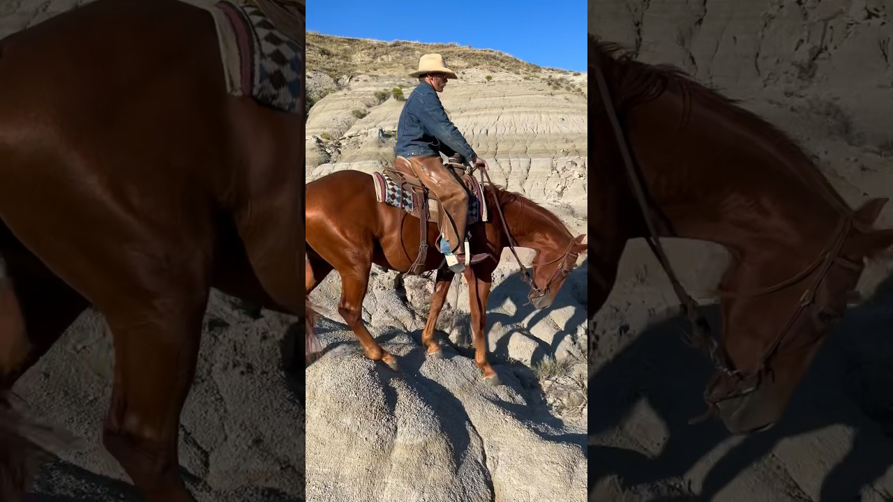 Riding a good horse in the badlands! #horse #horsemanship #ranchi #horses #cowboy #horseranch #west