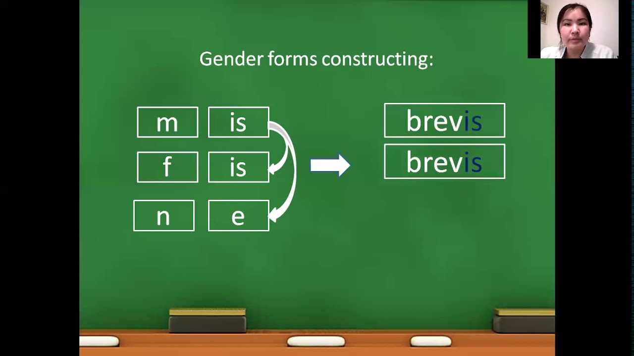 Grammatical categories of adjective