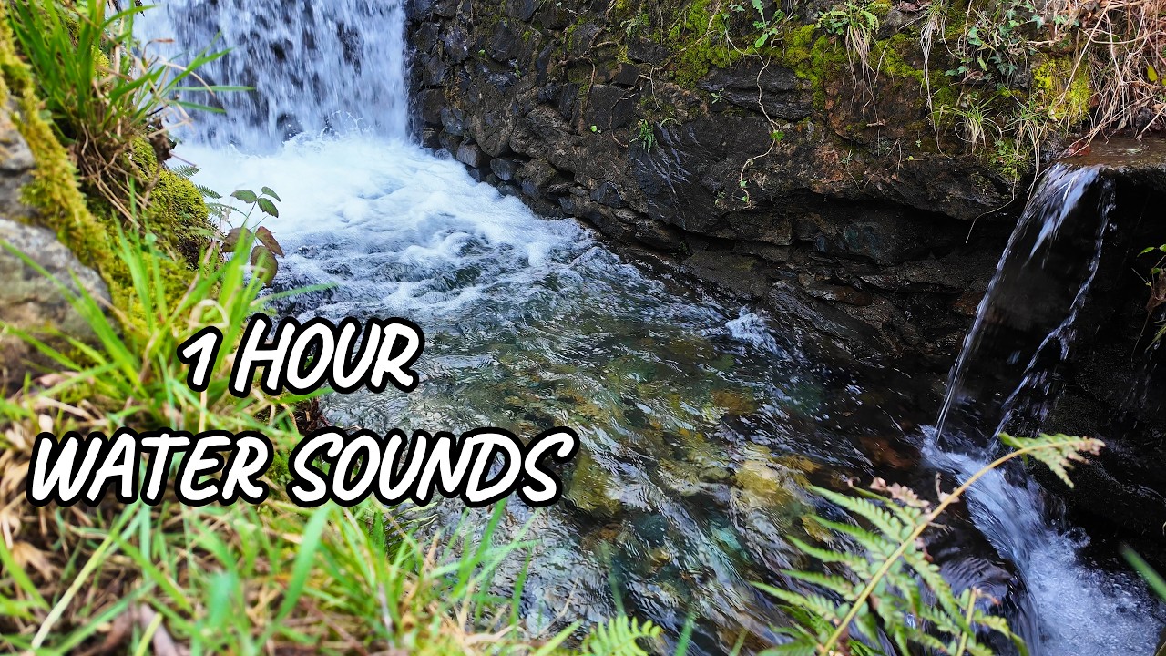 1 Ora di Cascata Naturale 4K 🌿 Suoni dell’Acqua per Dormire, Relax e Studio