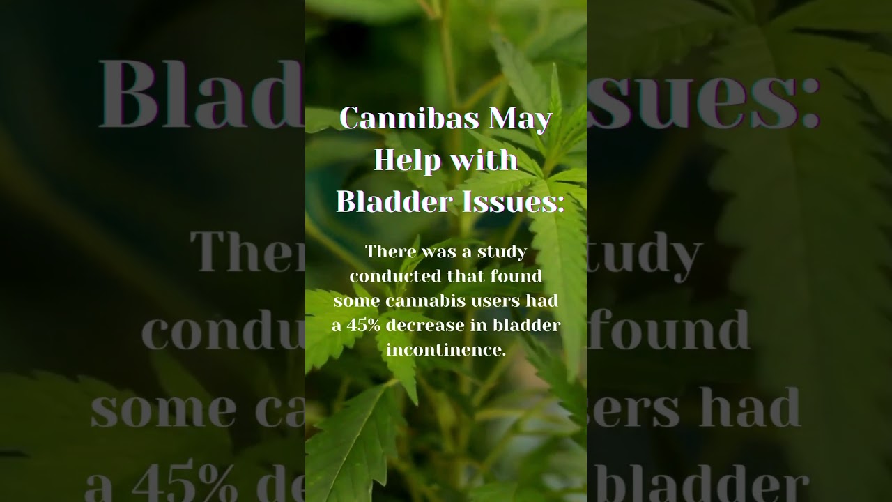 Beyond the Smoke: The Enhanced Perks of Cannabis