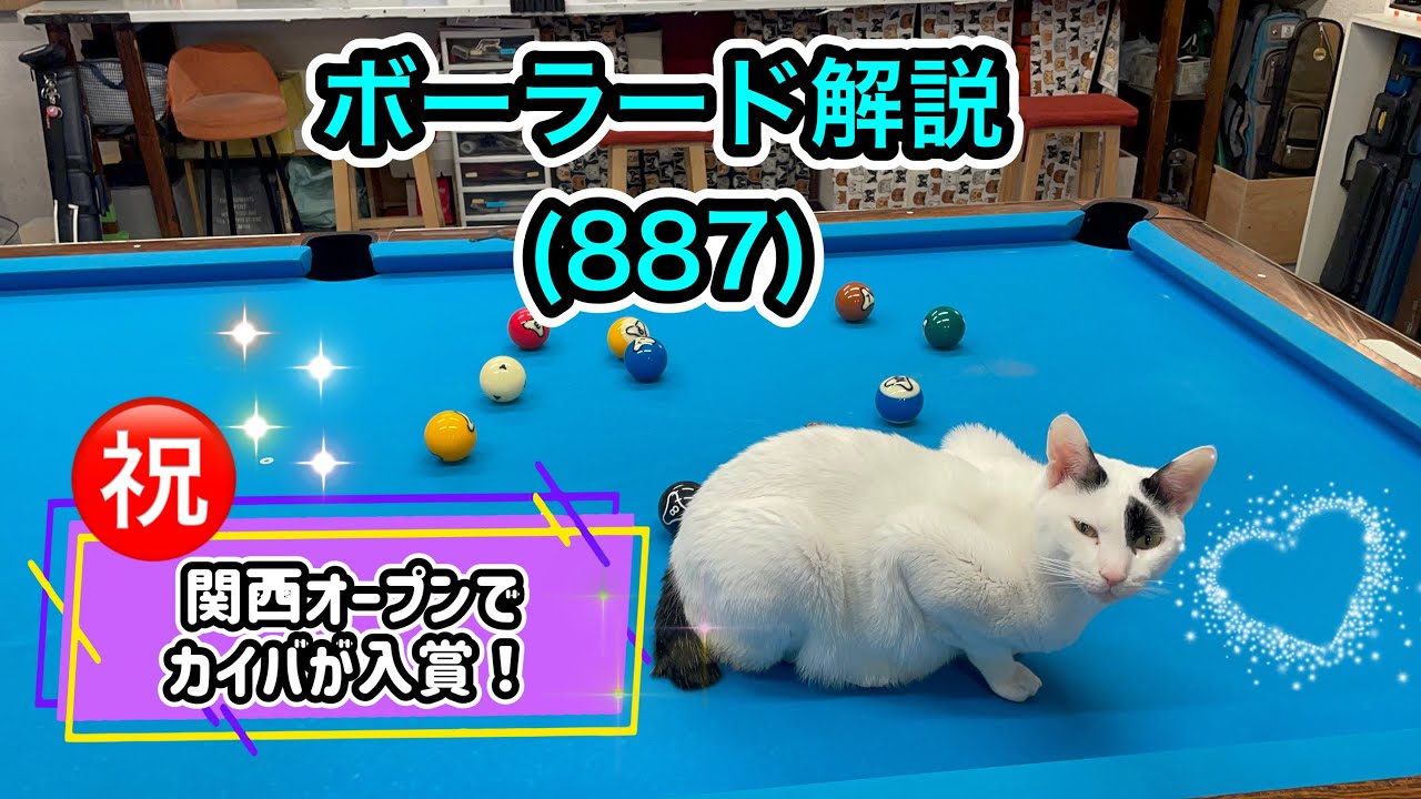 【ネコとビリヤード】カイバのボーラード解説(887)ニューシャフトで最高の結果が出た
