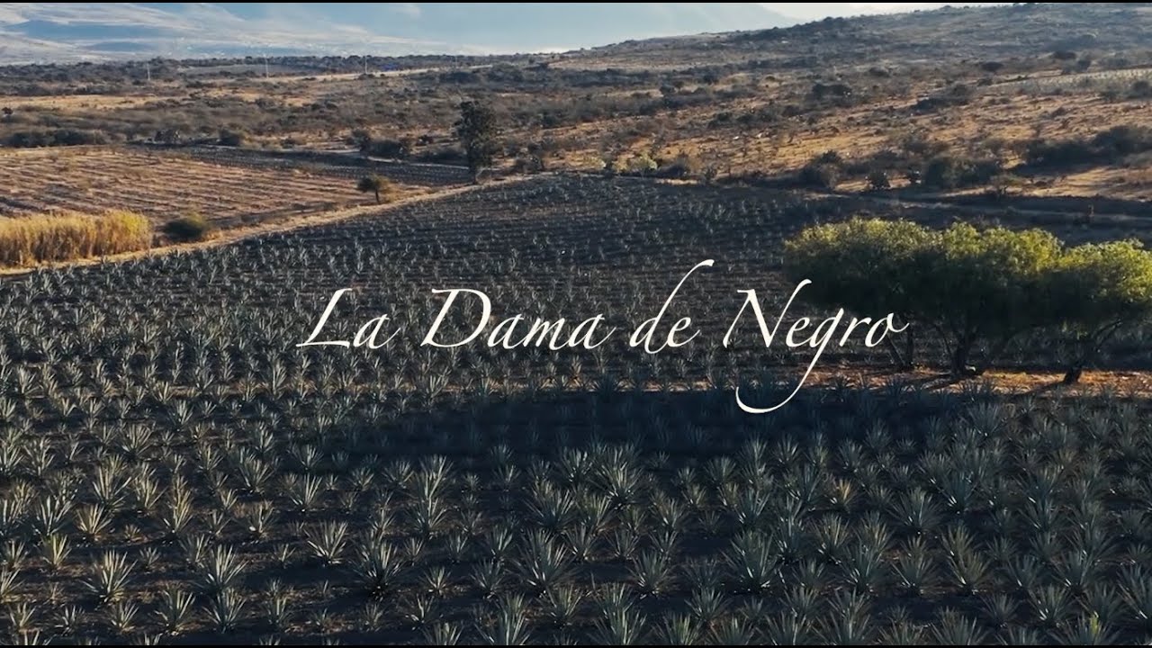 La Dama De Negro &ndash; Lyric Video Oficial
