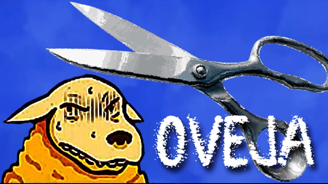 OVEJA: MUCHA LANA POR CORTAR