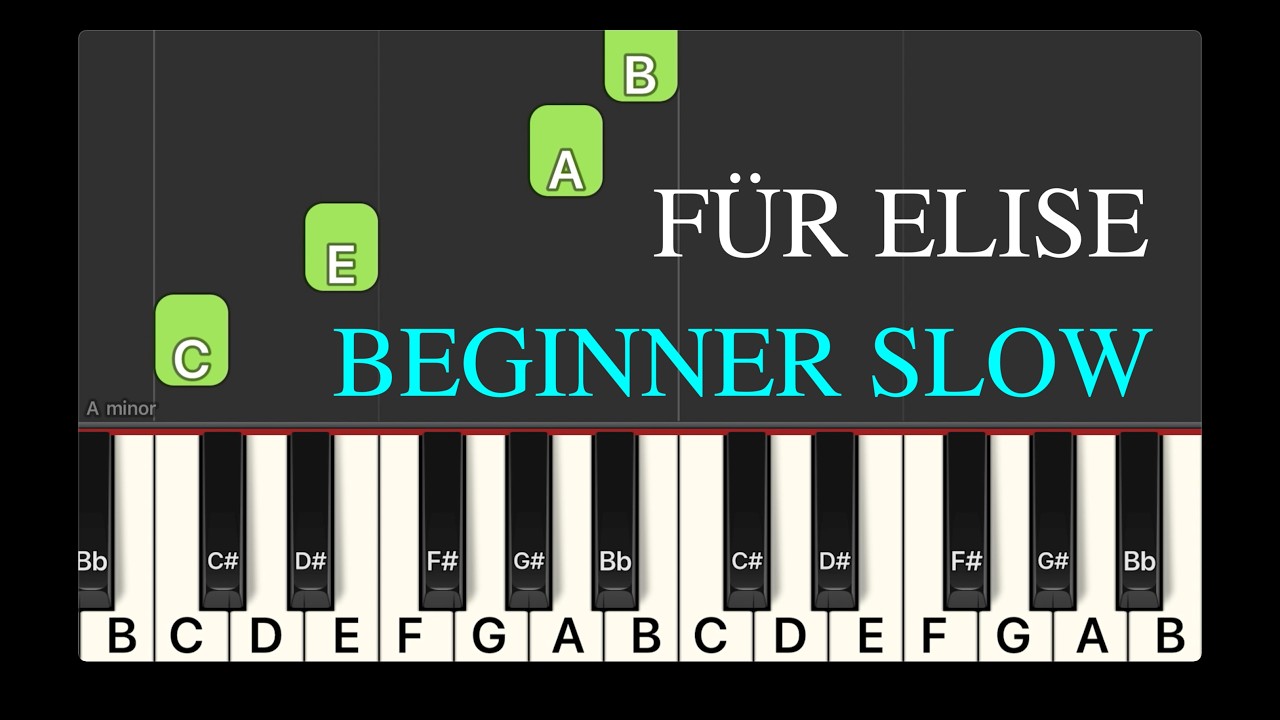 Für Elise - Beethoven / BEGINNER PIANO TUTORIAL SLOW