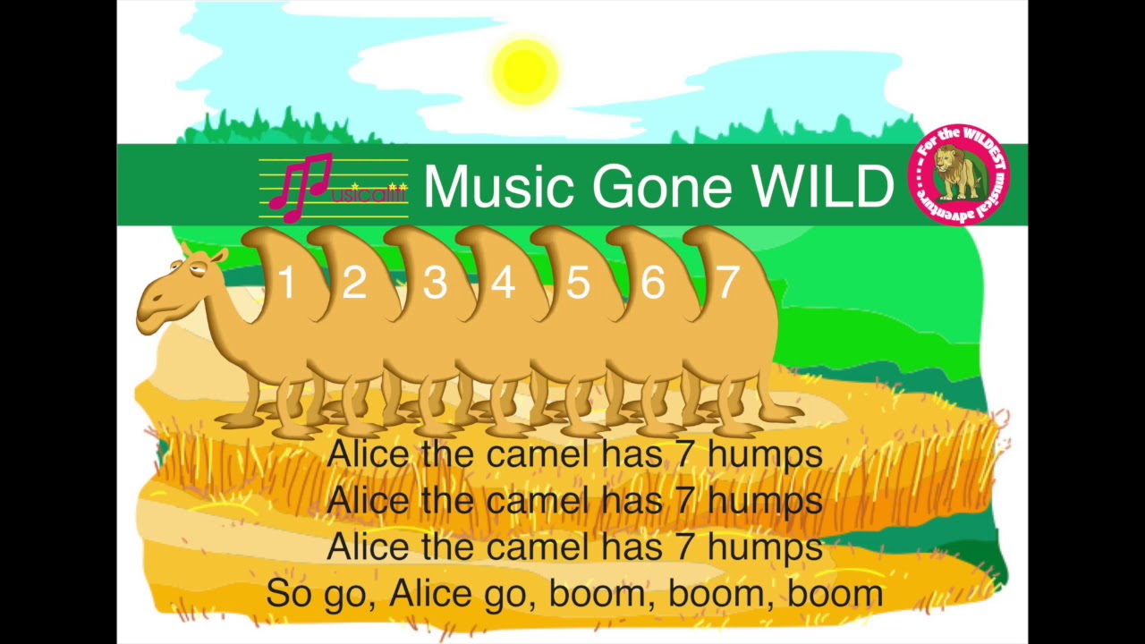Alice the Camel
