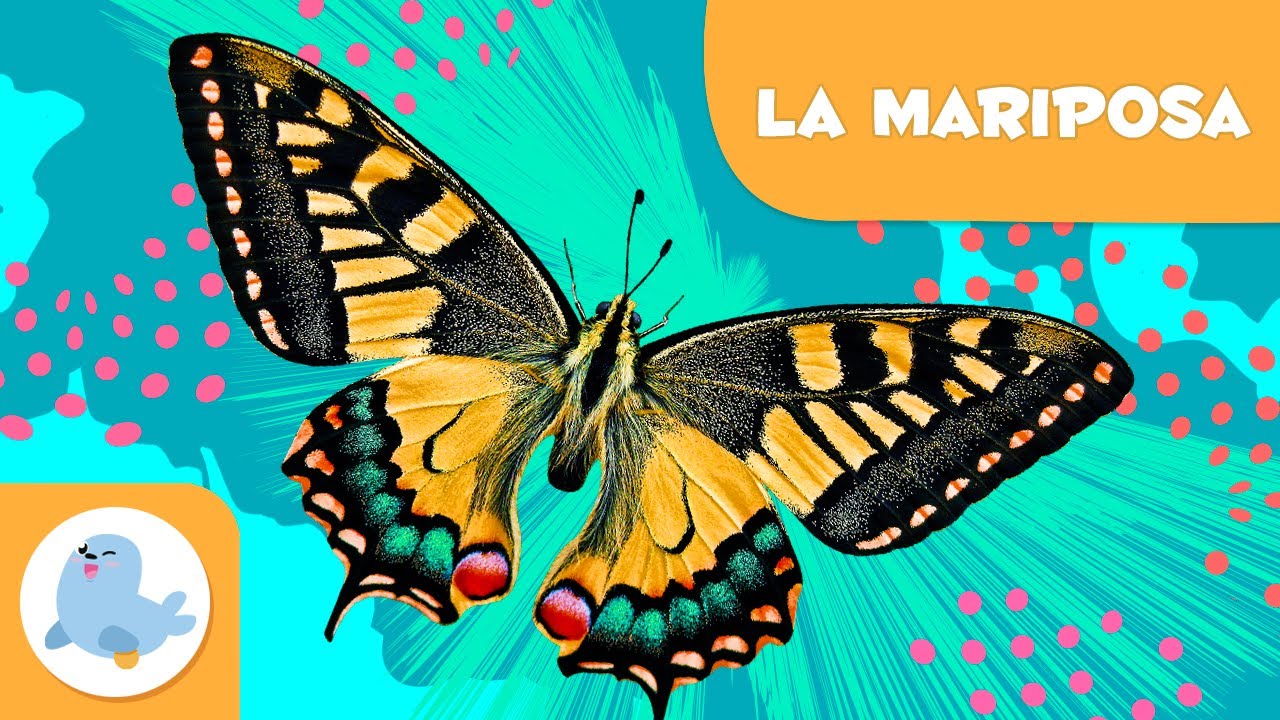 La mariposa 🦋 Animales para niños 🌱 Episodio 11