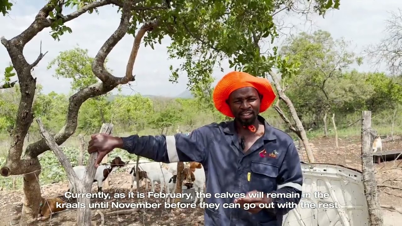 Farmer Stories: The Reality of Rural Farming in Botswana