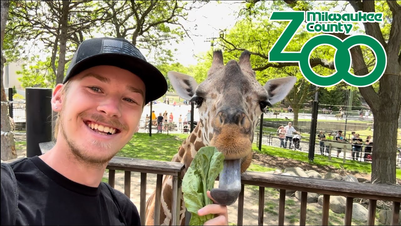 Back at My Favorite Zoo! | Milwaukee County Zoo, Giraffee Feeding, Sea Lion Show, Full Experience