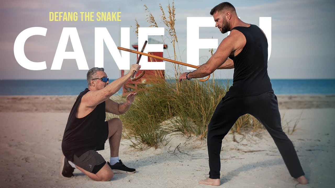 CANE FU- Defang the snake