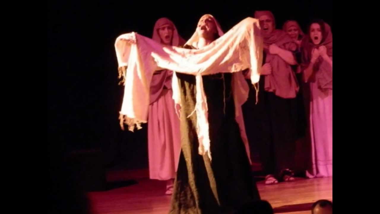 PASION FLAMENCA
