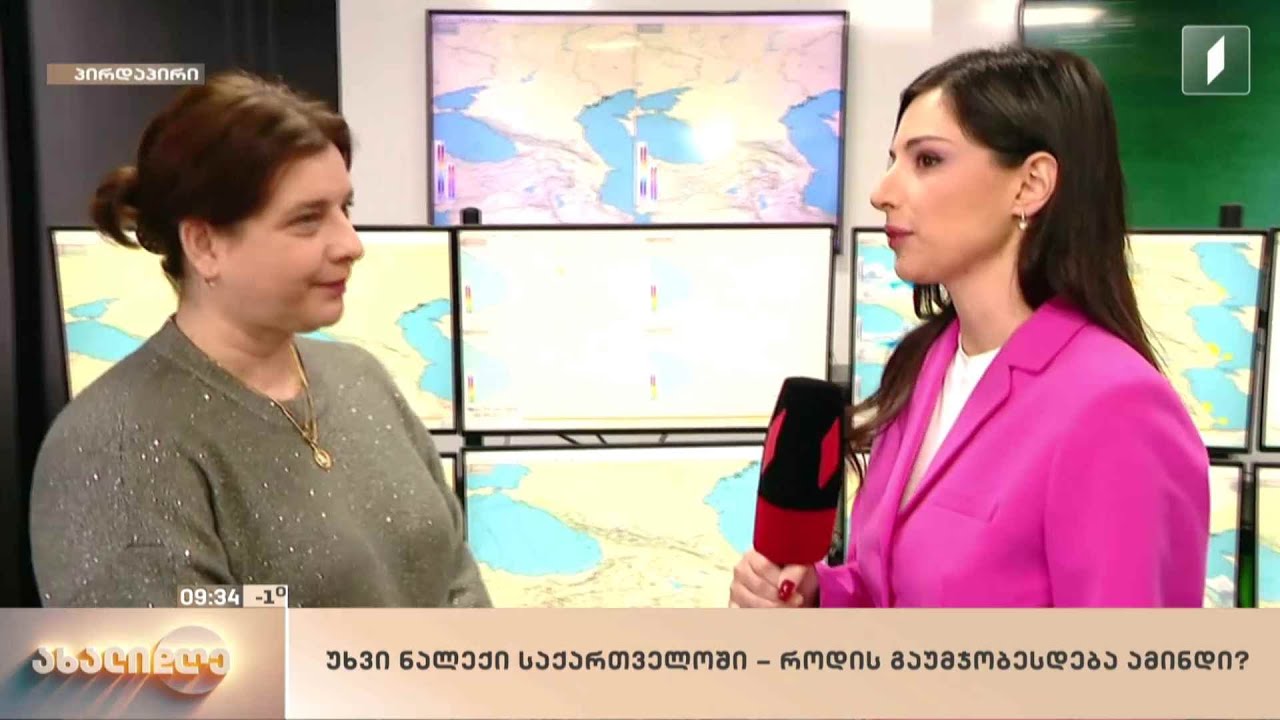 უხვი ნალექი საქართველოში - როდის გაუმჯობესდება ამინდი