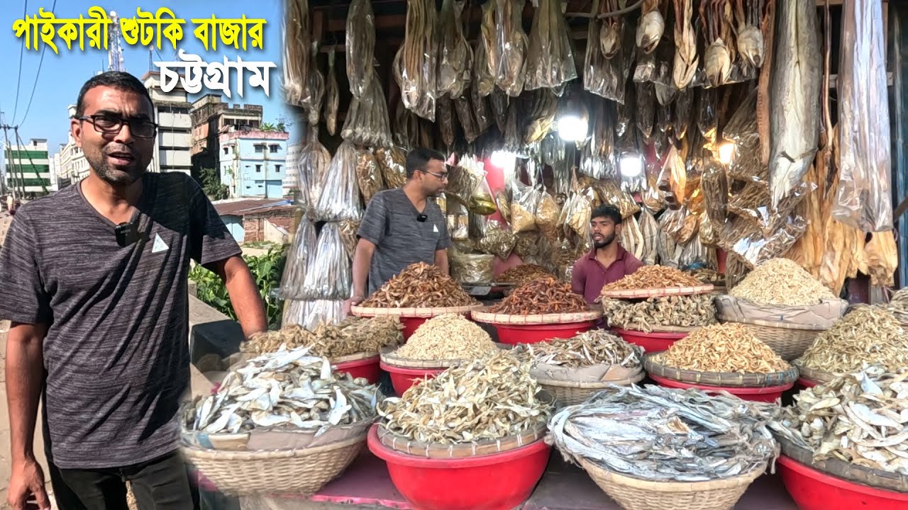 চট্টগ্রামের শুটকি মাছের পাইকারী বাজারে ২৮০ টাকা থেকে ৫০০০ টাকার মাছ | Wholesale Dry  Fish Market