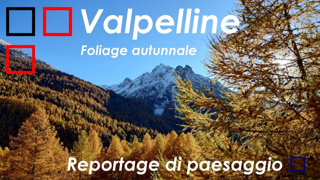 Foliage in Valpelline lungo la strada per il  lago di Place Muolin