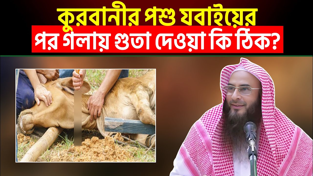 কুরবানীর পশু য*বা/ই করার পর গলার মাঝখানে গু*তা দেওয়া কতটুকু সঠিক?