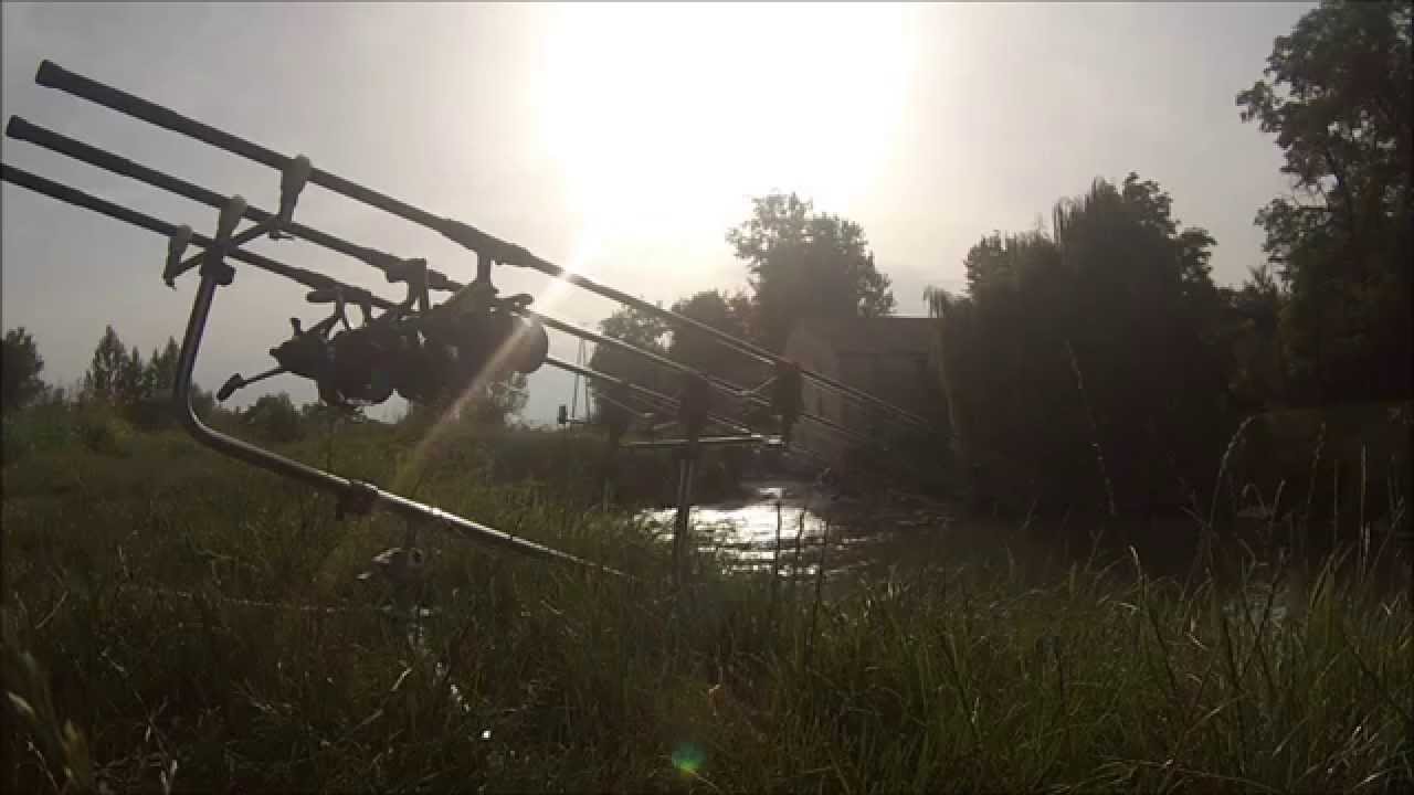 CARPFISHING RIVER DESE