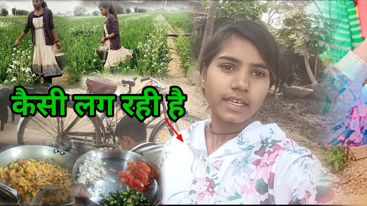बस आखिरी बार खाद डालने गए manisha devi vlog 