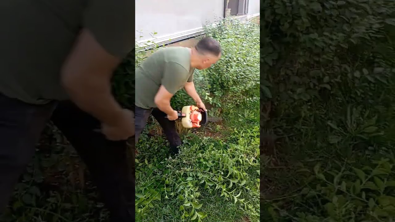ÇİT BİTKİSİ BUDAMA👍