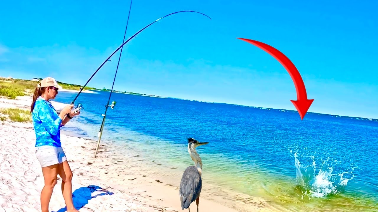 FISHING Florida BEACH when THIS HAPPENED!