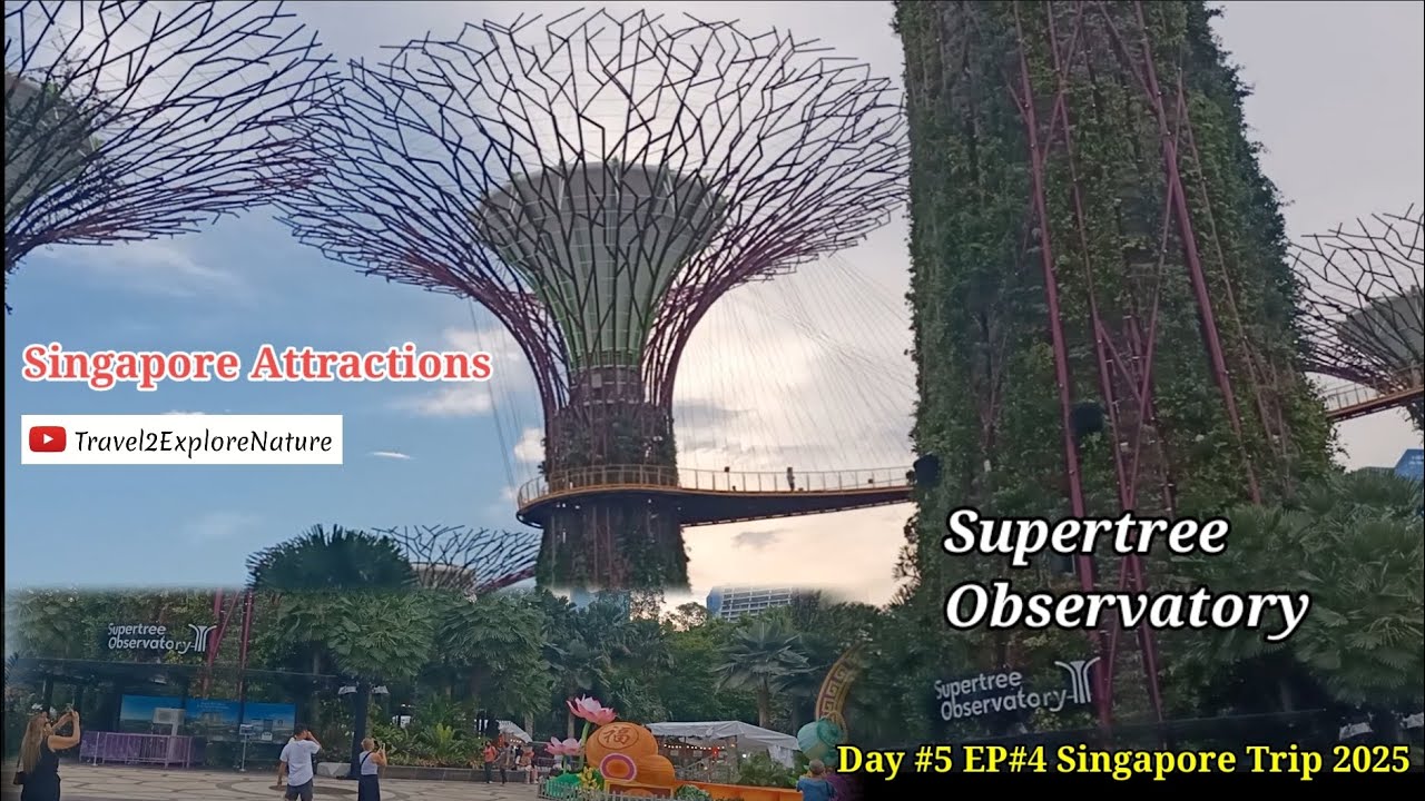 Light and Sound Show | Supertree Observatory Singapore Attractions @Travel2ExploreNature