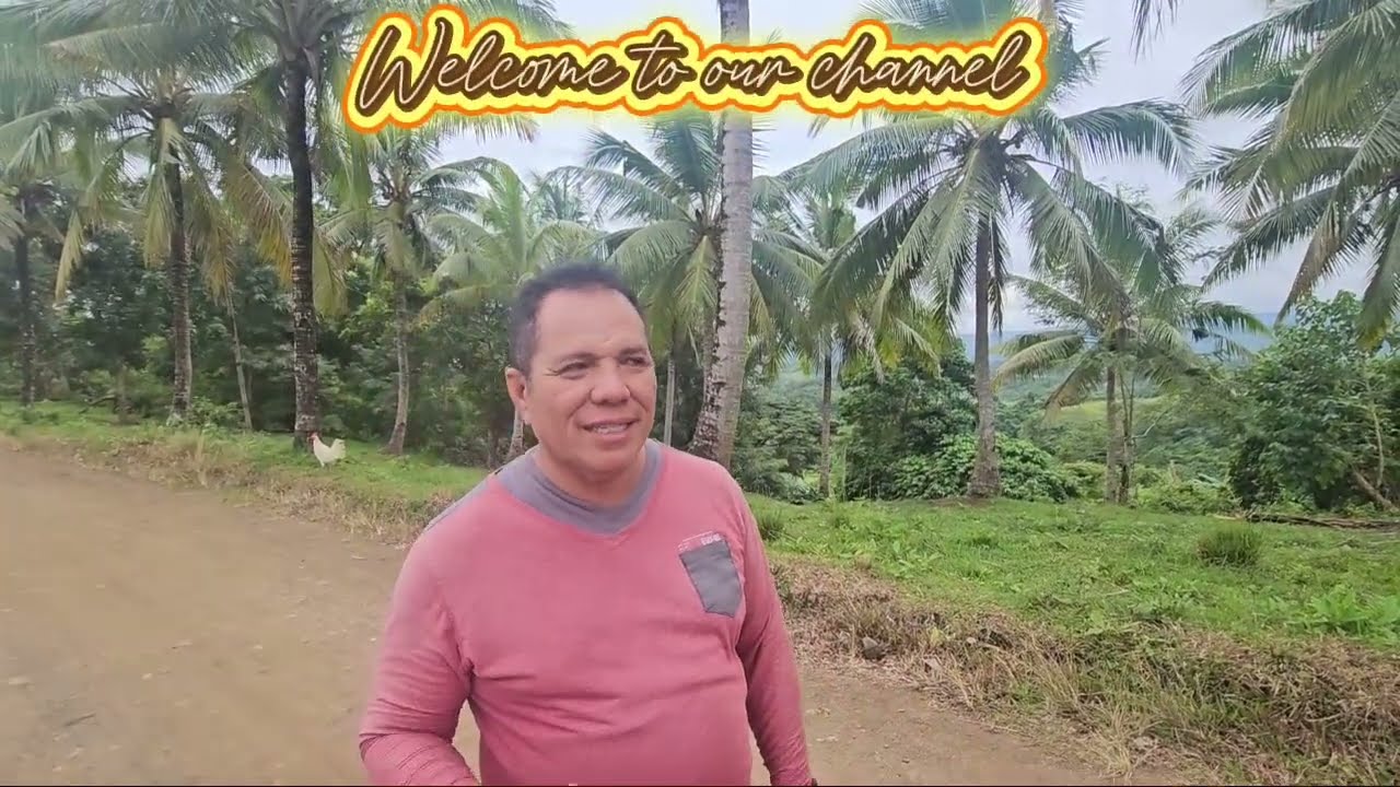 Bohol Overlooking Lot for sale in Carmen Bohol Philippines 60 pesos per sqm net