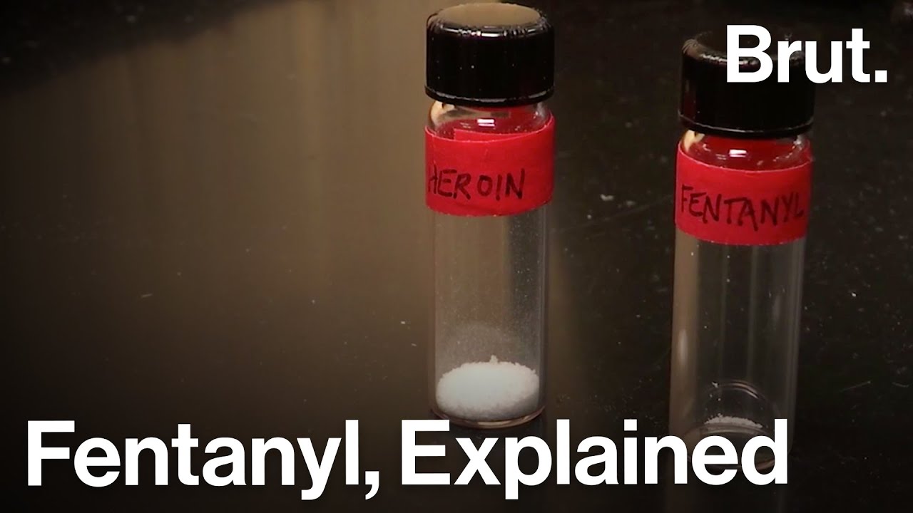 How Fentanyl is Fueling America's Deadliest Opioid Crisis