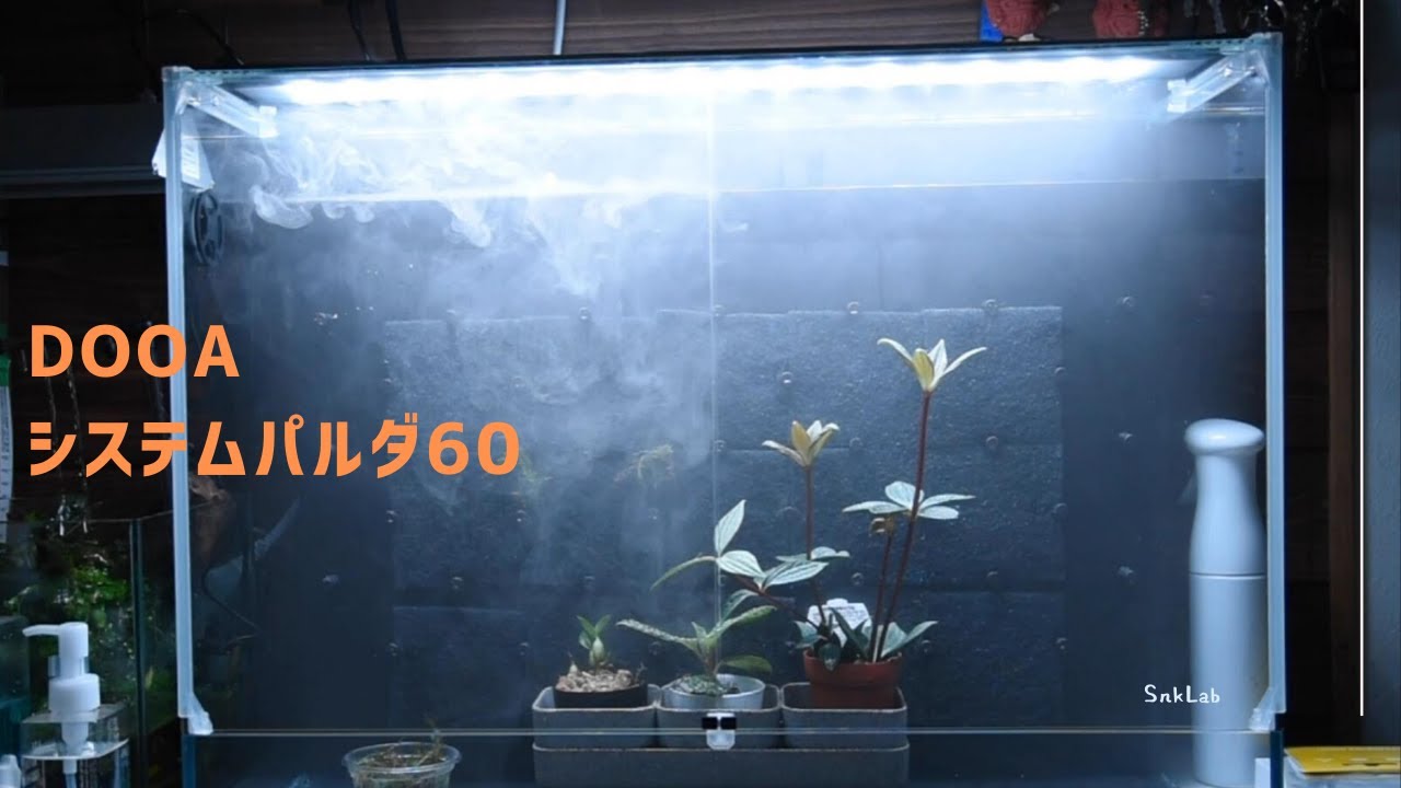 DOOA システムパルダ60を思い切って買いました。/ DOOA system palda 60