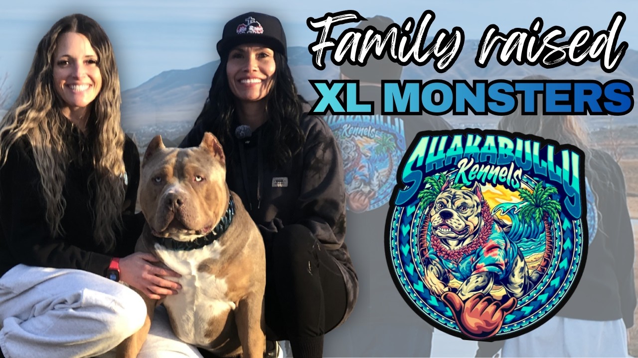 Inside a Family-Owned XL American Bully Camp Building the Next Great Bloodline!