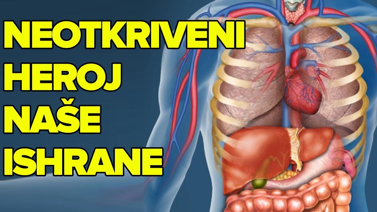 NAJVAŽNIJA AMINOKISELINA ZA EMOCIONALNO ZDRAVLJE I RASPOLOŽENJE! Dr Mihajlović
