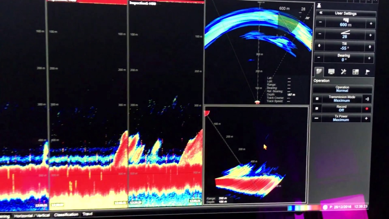 Simrad SN90.  Herring and pollock.