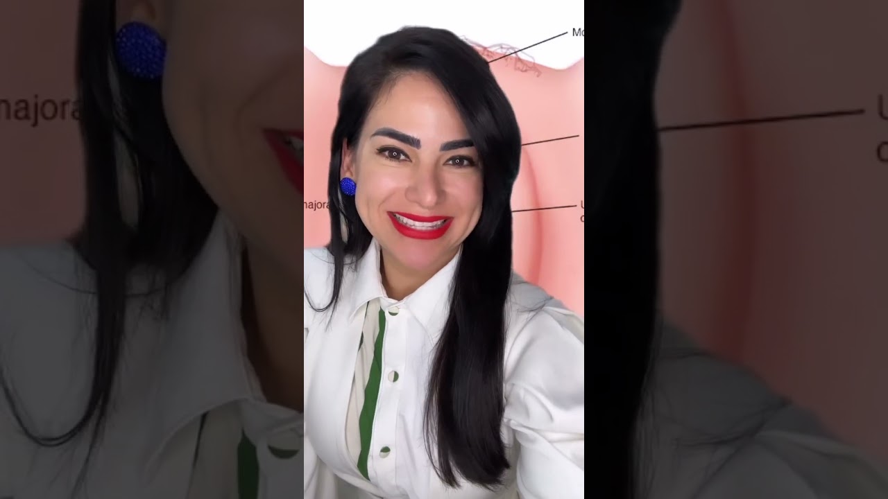 Anatomia da Vulva: voc&ecirc; conhece todas as partes?