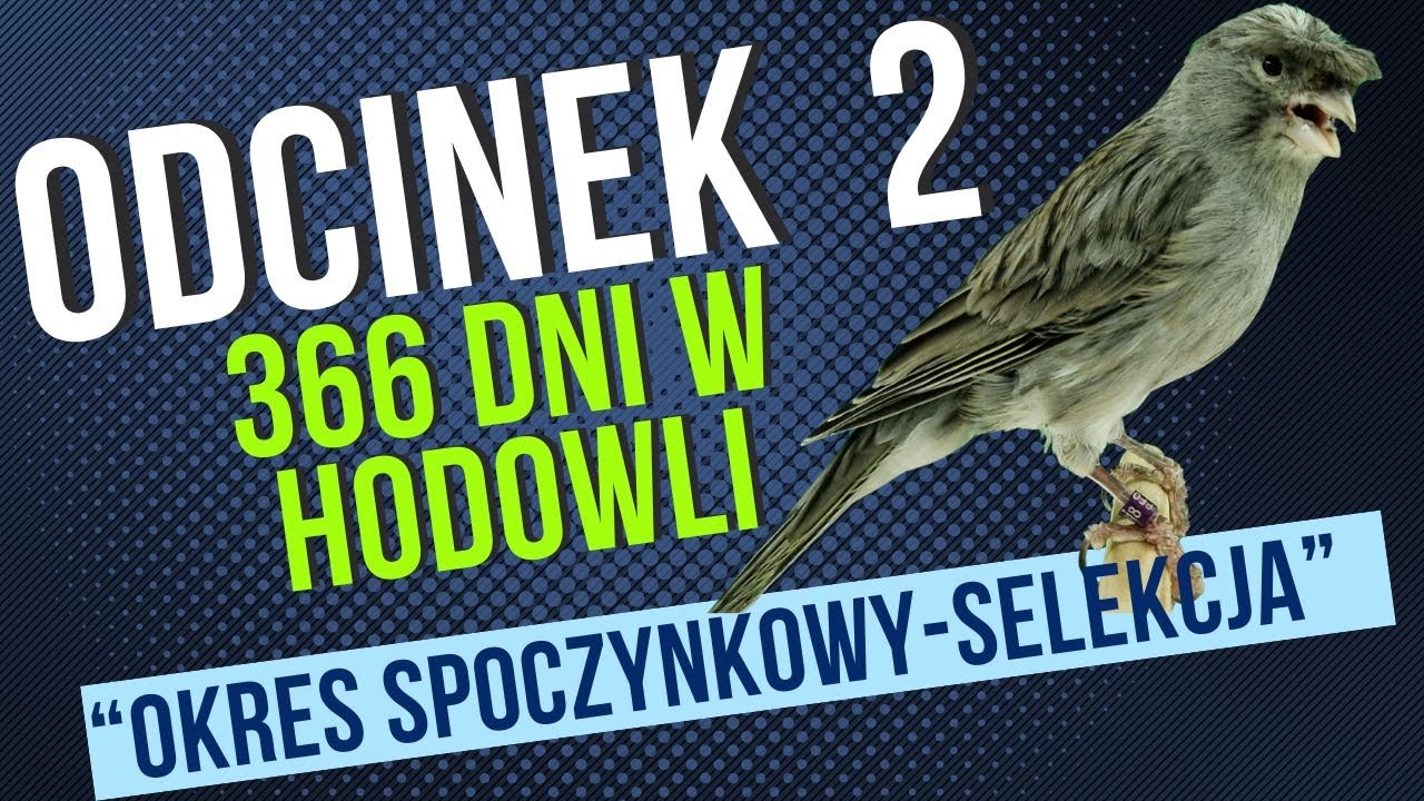 Odc.2.Fabisiak Mariusz Poradnik Hodowcy 