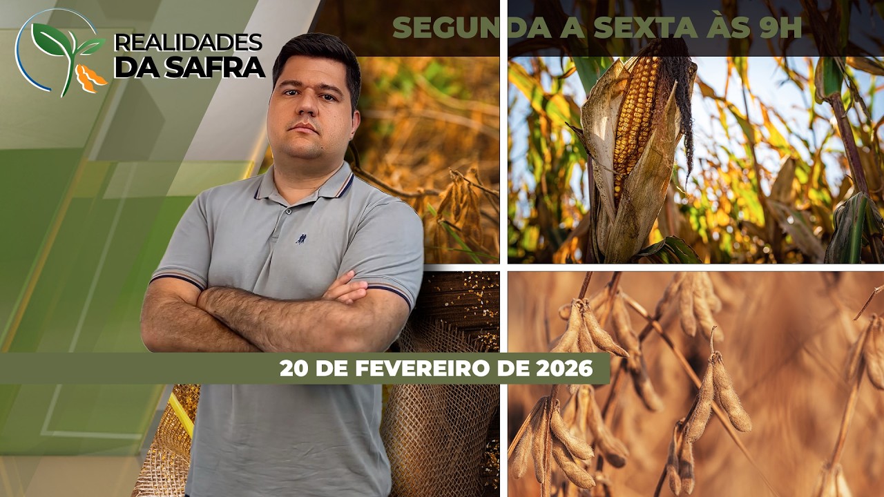 REALIDADES DA SAFRA - EDIÇÃO 20/02/2026