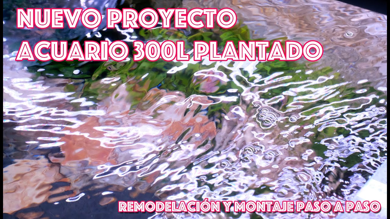 Nuevo proyecto 