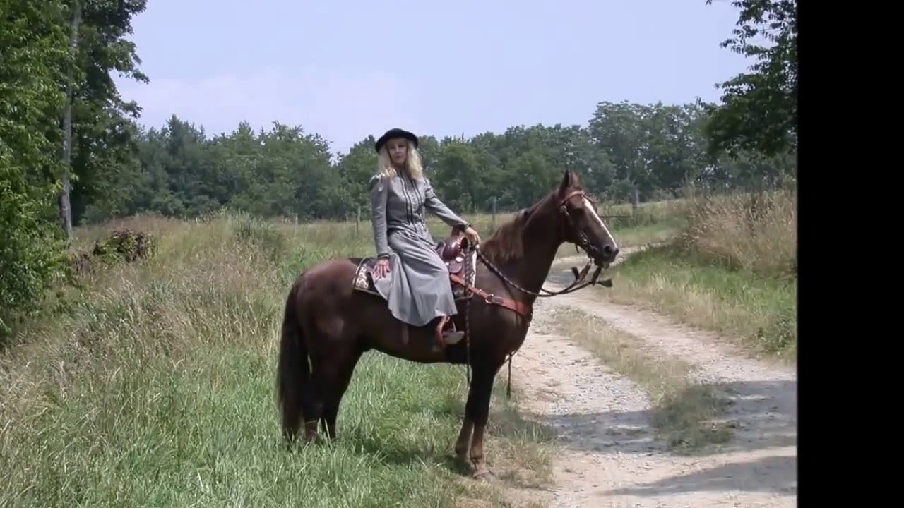 Just The Right Horse American Saddlebred Farm