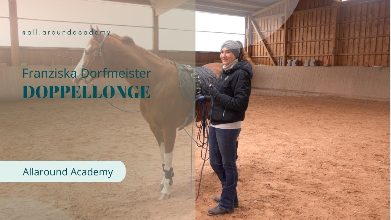 Doppellonge Teil 1: erste Schritte