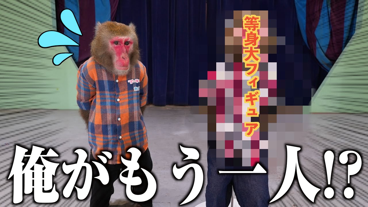 100万円かけて相棒のお猿さんのリアル「等身大フィギュア」を作りました