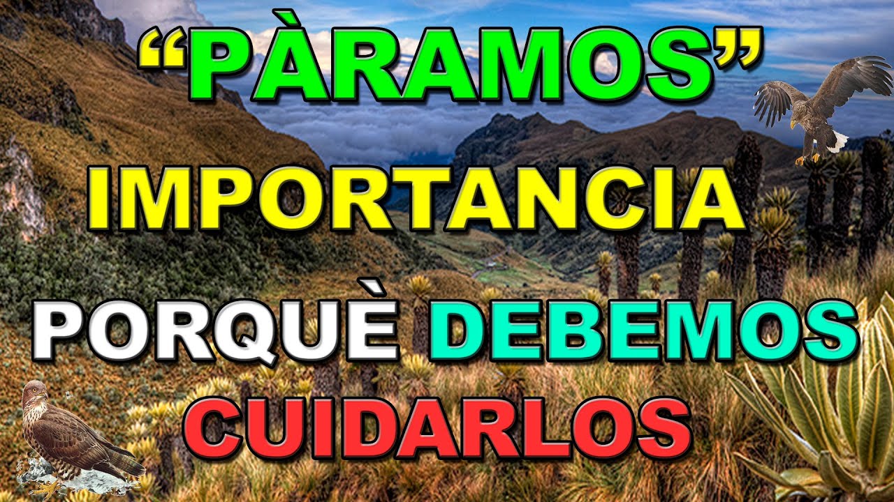 P&Agrave;RAMOS IMPORTANCIA  Porqu&egrave; Debemos Cuidarlos #travel #turismo #viral #paisaje #paramos