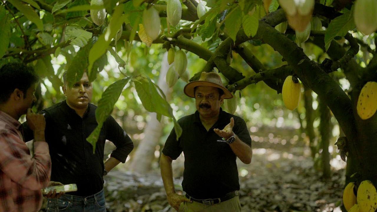 Story of India Cocoa