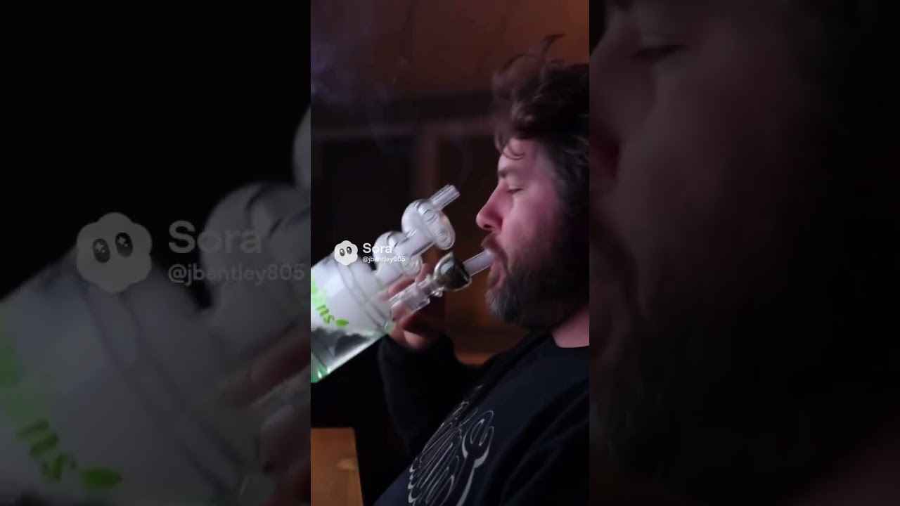 “THE GREENS — First Hamster Maze That’s ALSO a Glass Water Pipe! 😂🐹💨 ‘Your Pet Gets an Adventure!’”