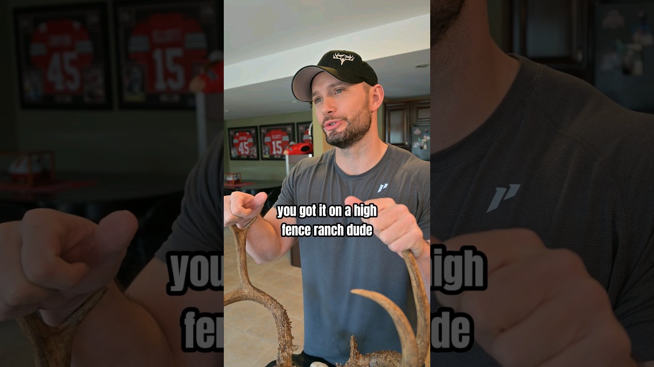 Охотники за высокими заборами похожи на... #оленьзавысокимзабором #фермерскийолень #охотананаолен...