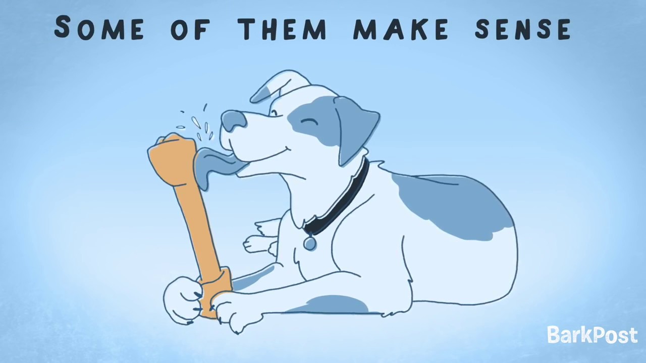 Inside A Dog's Brain: Why Do Dogs Lick Us?