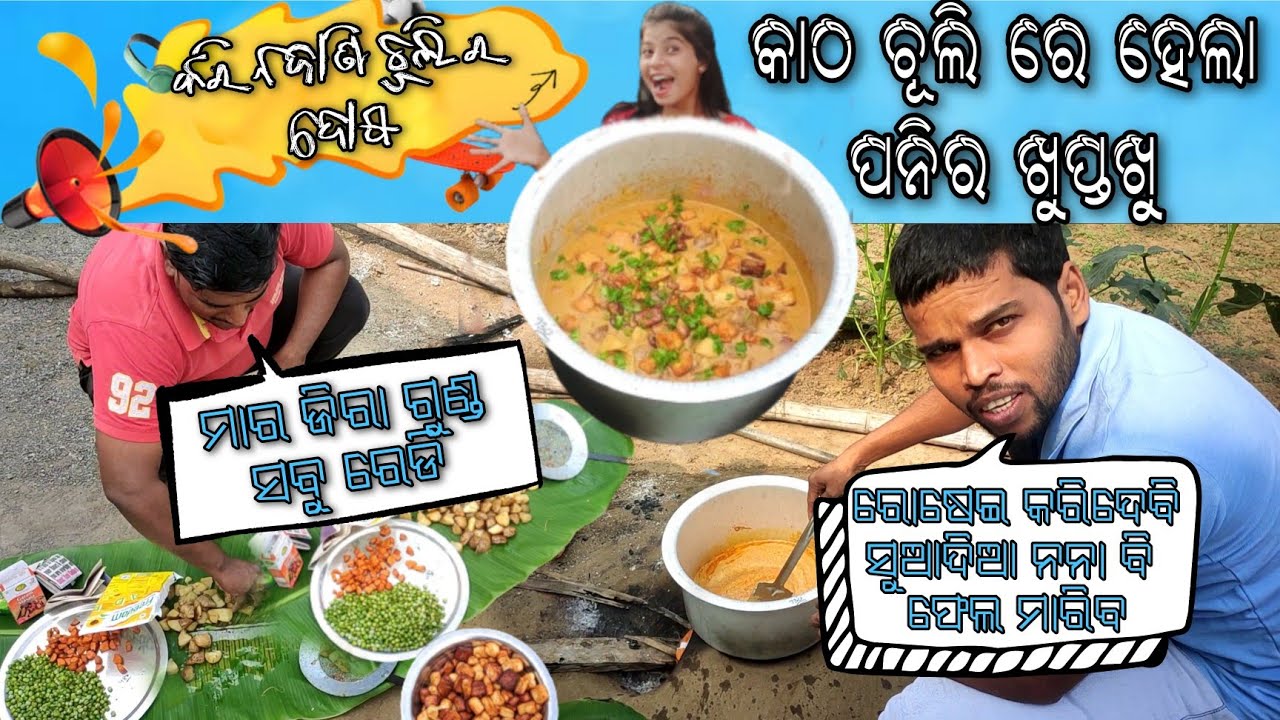 ରାନ୍ଧି ନଜାଣି ଚୁଲି ର ଦୋଷ 😆||Paneer Masala Making ||Outdoor Feast||Without Onion And Garlic Paneer