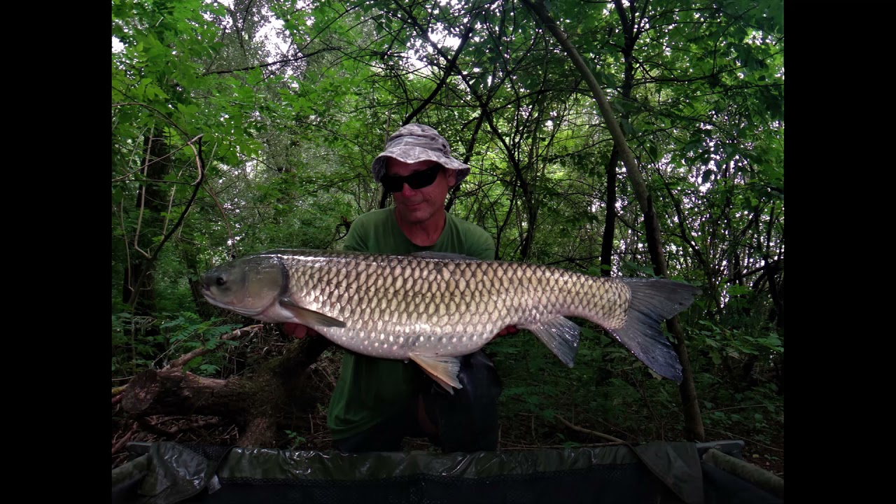 PRESTIGE BAITS - HRVATSKA