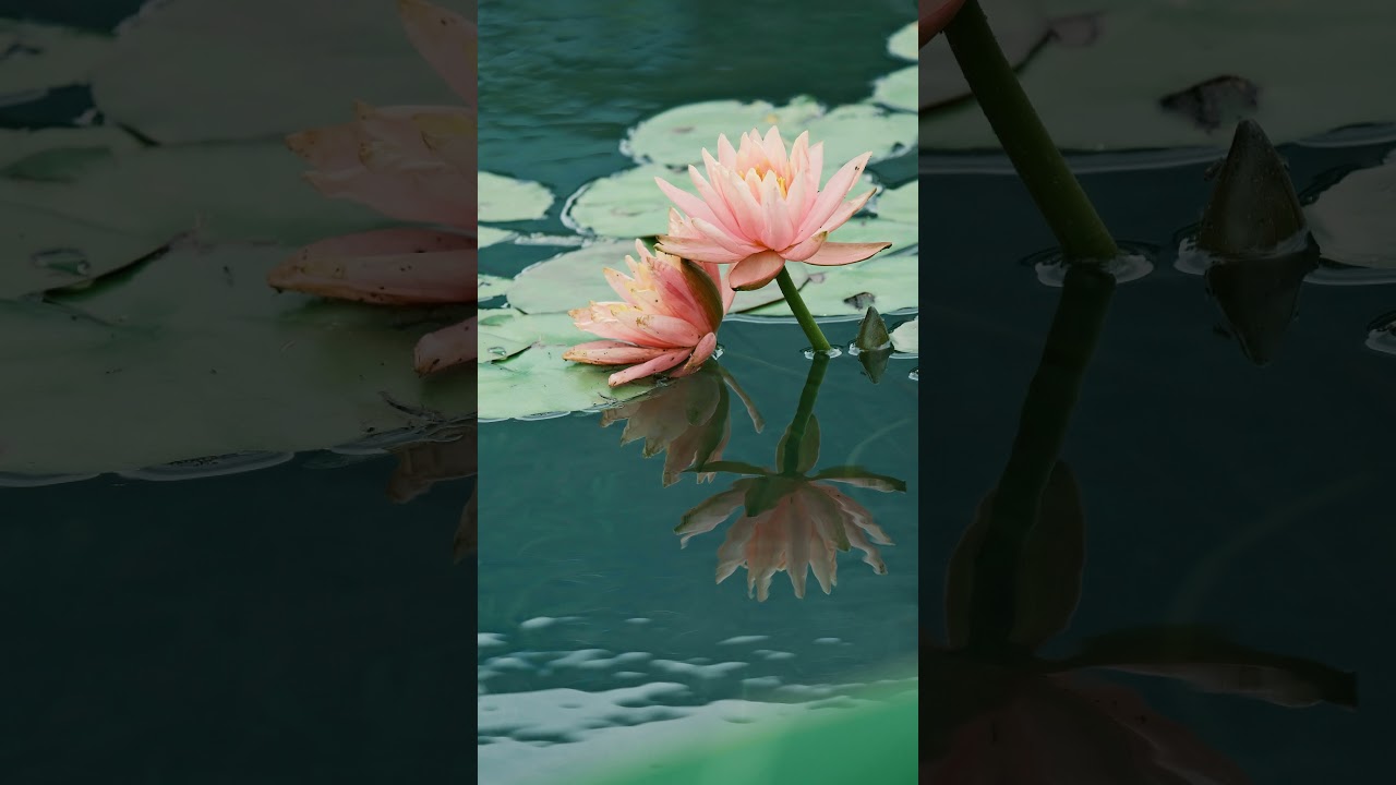 o lord " New Instrumental Type Beat Rnb Prod.bm