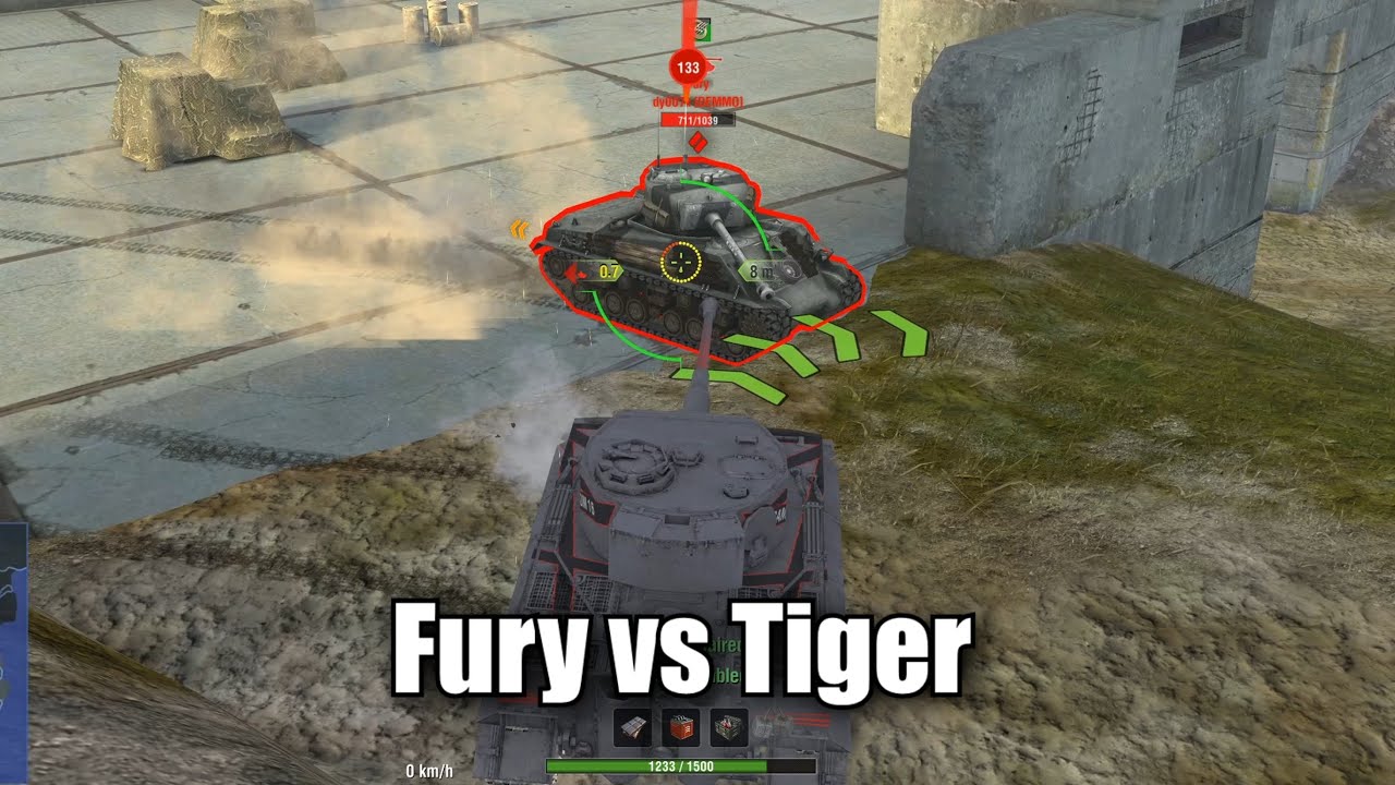 When my Tiger meets Fury