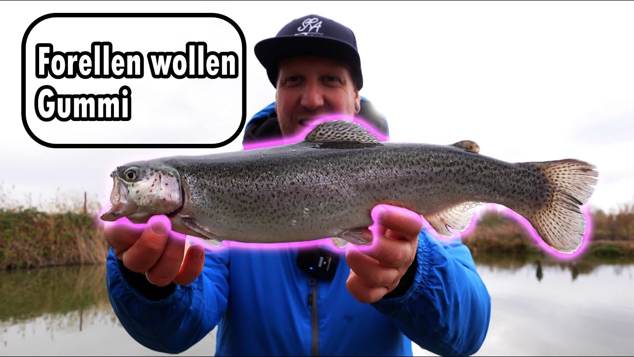Die Forellen wollen Gummi | Forellen Angeln |Teichwirtschaft Möller / Harkenbleck