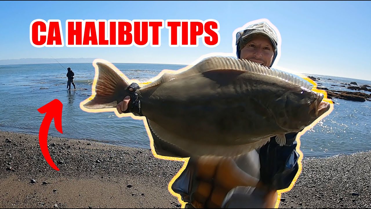 TIPS Master Your CA HALIBUT Surf Fishing Game!